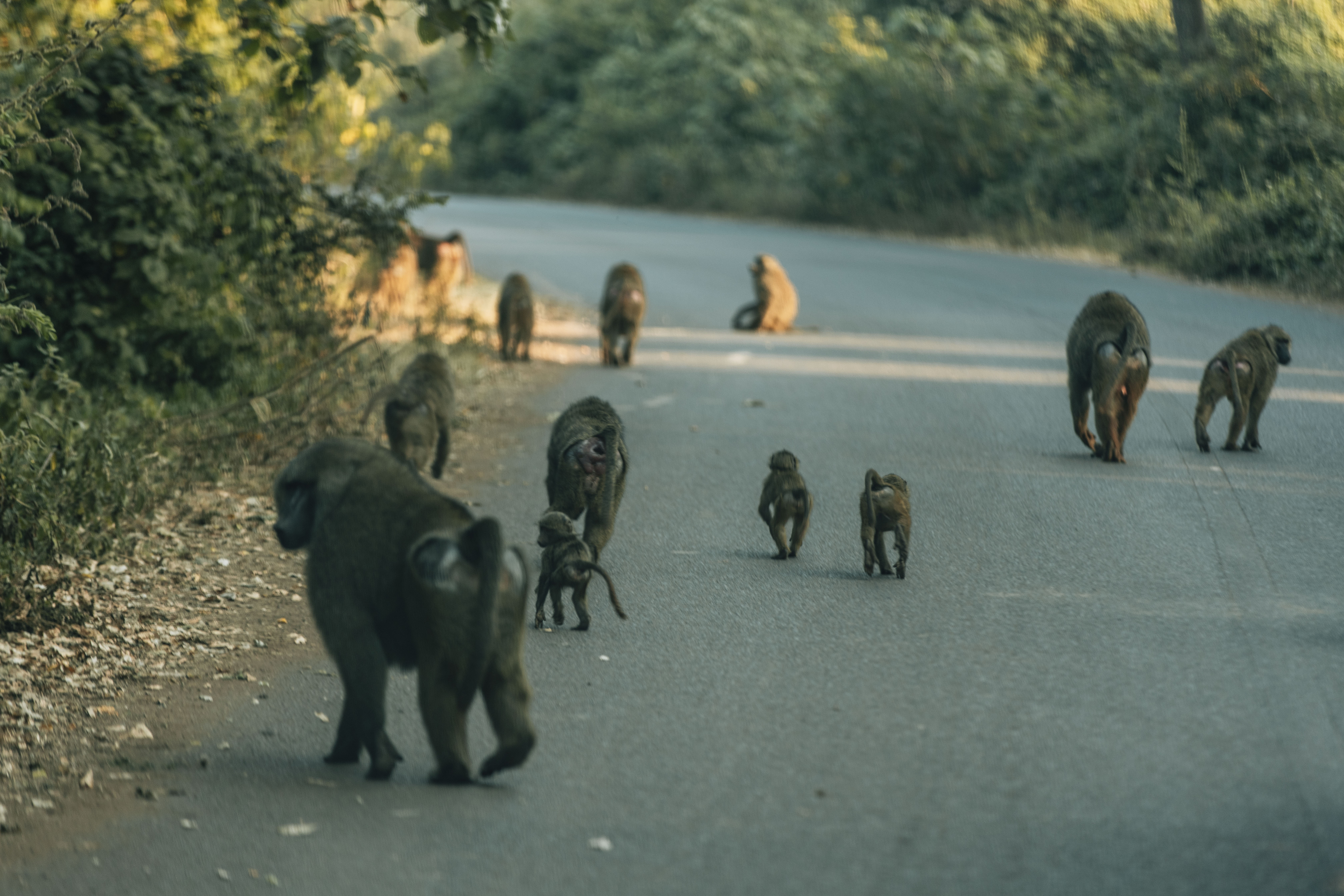 Ngorongoro Conservation Area