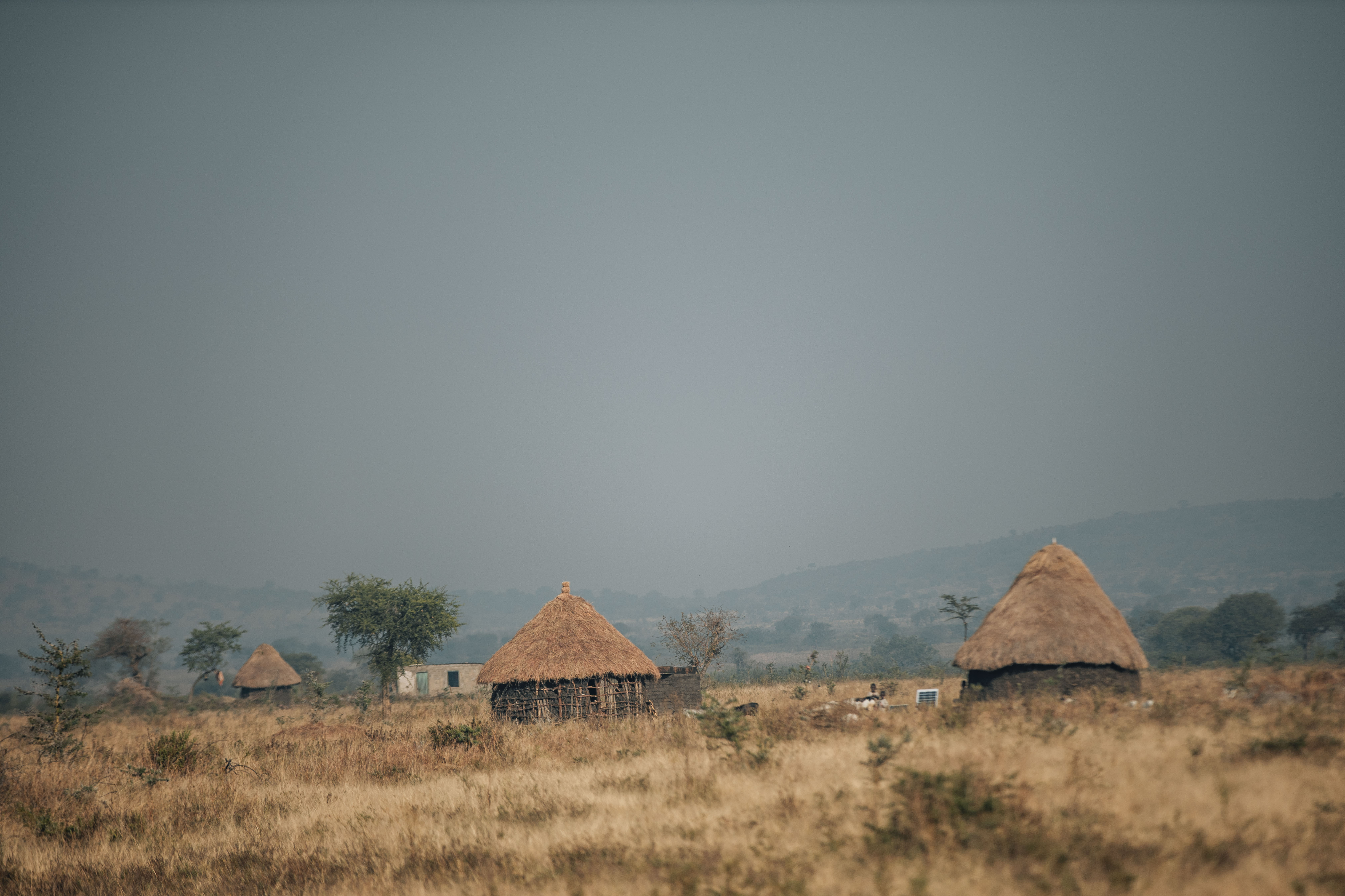 The Best Time To Visit Serengeti